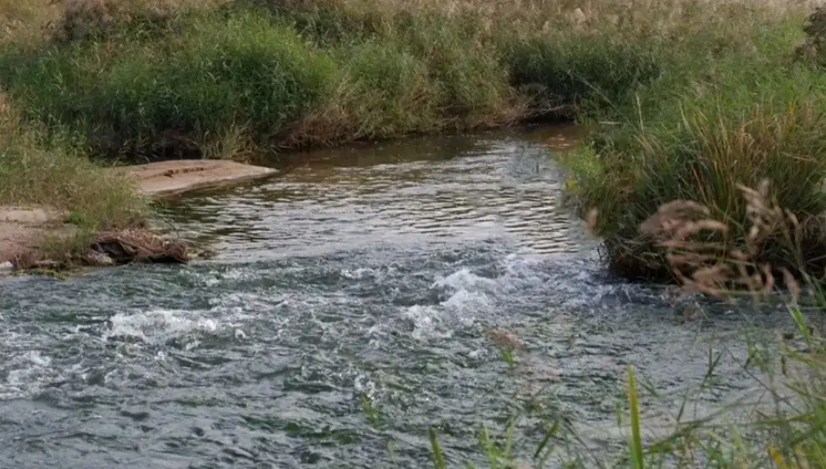 普安白(bái)葉一号工(gōng)程地瓜盤水灌溉項目C1标段C2标段